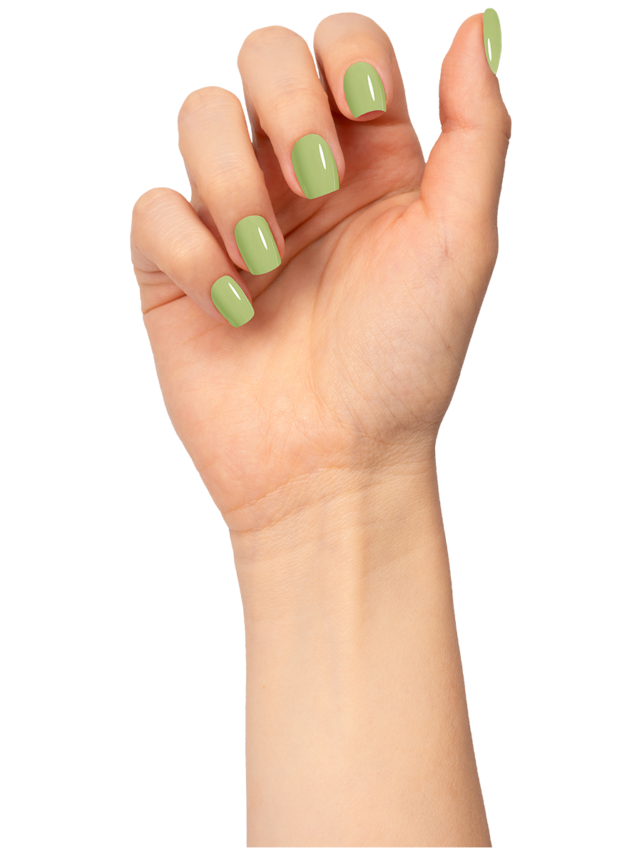 L 2617 – Meadow Green Nail Polish – 15ml | High Gloss, Gel Like Finish Green Nail Polish | Fresh Natural Meadow Green Nail Lacquer