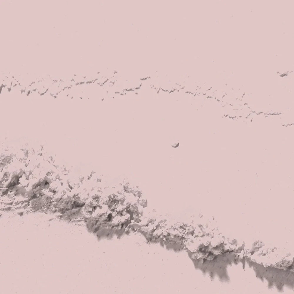 D 2638 Champagne Silk Nail Dipping Powder – 28gm | Soft Nude Dip Powder Nails | Nail Dipping System