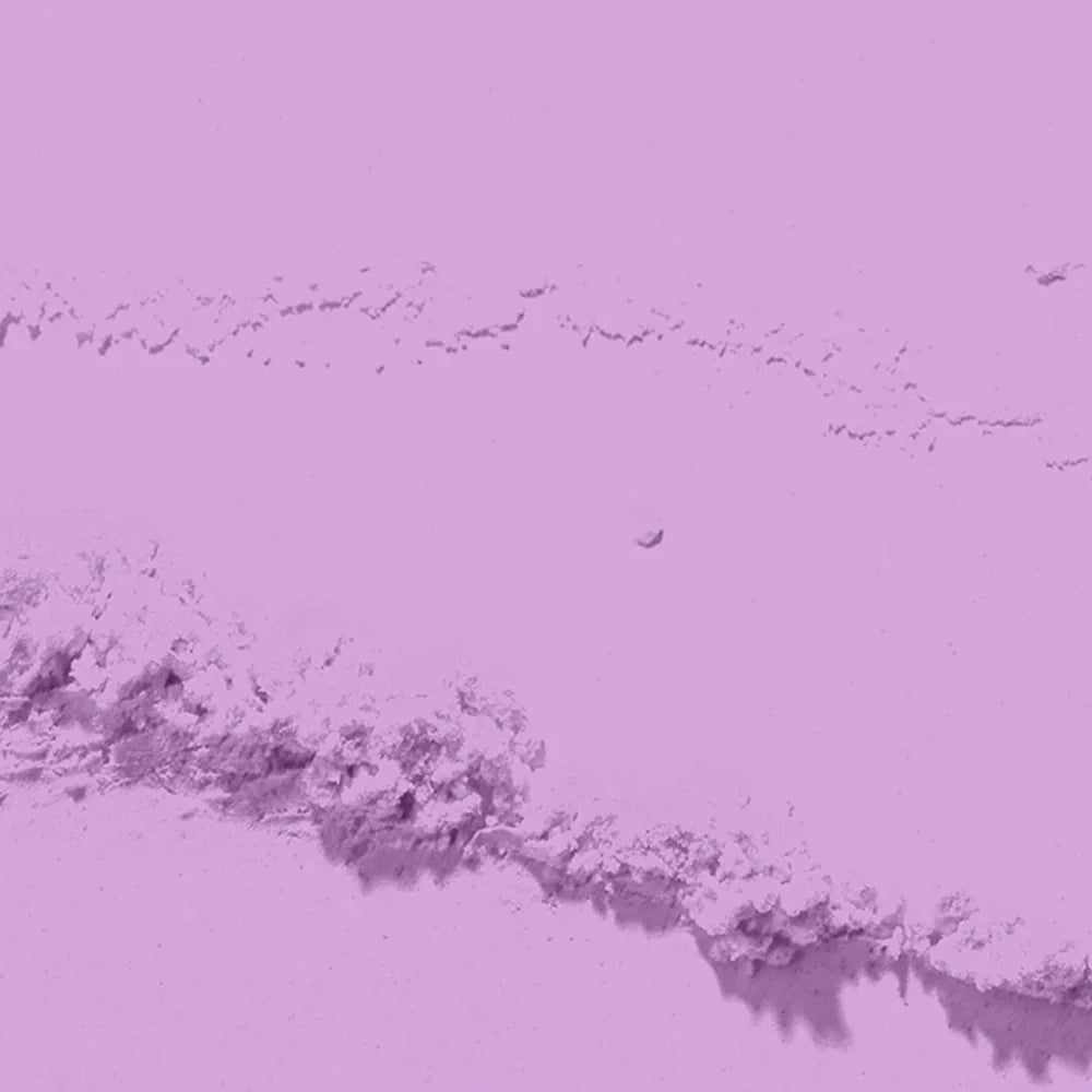 D 2756 Purple Bloom Nail Dipping Powder – 28gm | Vibrant Floral Purple Dip Powder | Nail Dipping System