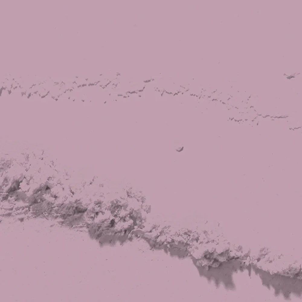 D 2781 Suede Pink Nail Dipping Powder – 28gm | Soft Warm Pink Dip Powder | Nail Dipping System