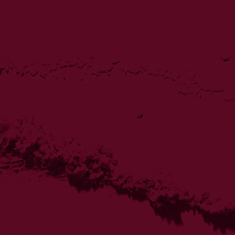 D 2889 Plum Wine Nail Dipping Powder – 28gm | Deep Burgundy Dip Powder | Nail Dipping System