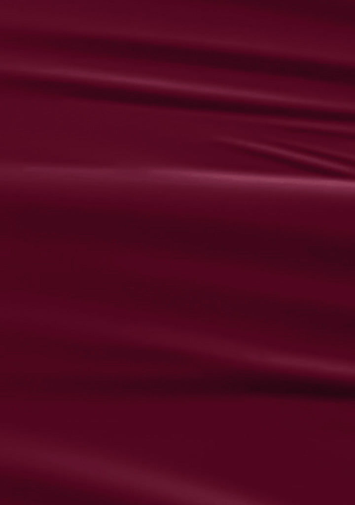 L 2889 – Plum Wine Nail Polish – 15ml | High Gloss, Gel Like Finish Deep Plum Nail Polish | Rich Wine Red Nail Lacquer