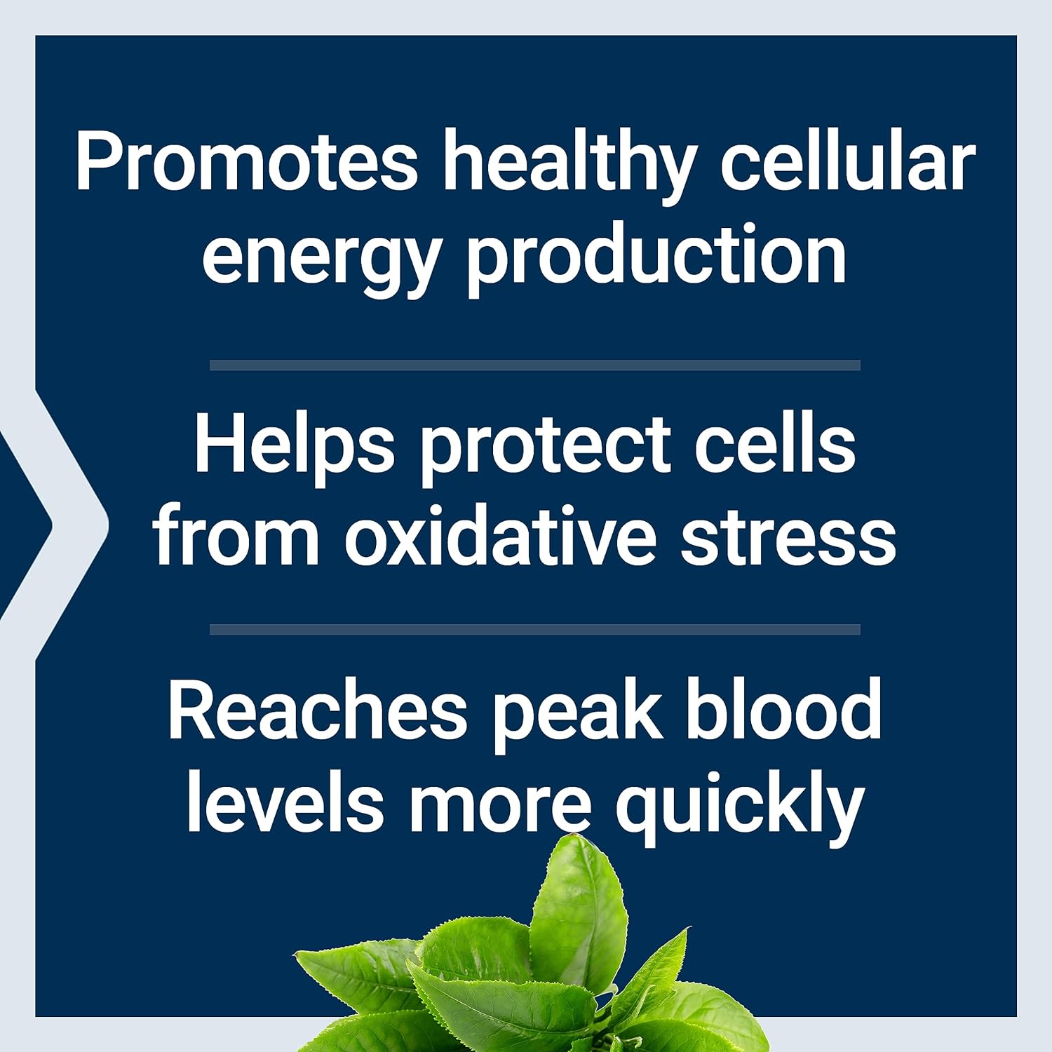 Life Extension Super R-Lipoic Acid - 60 Vegetarian Capsules