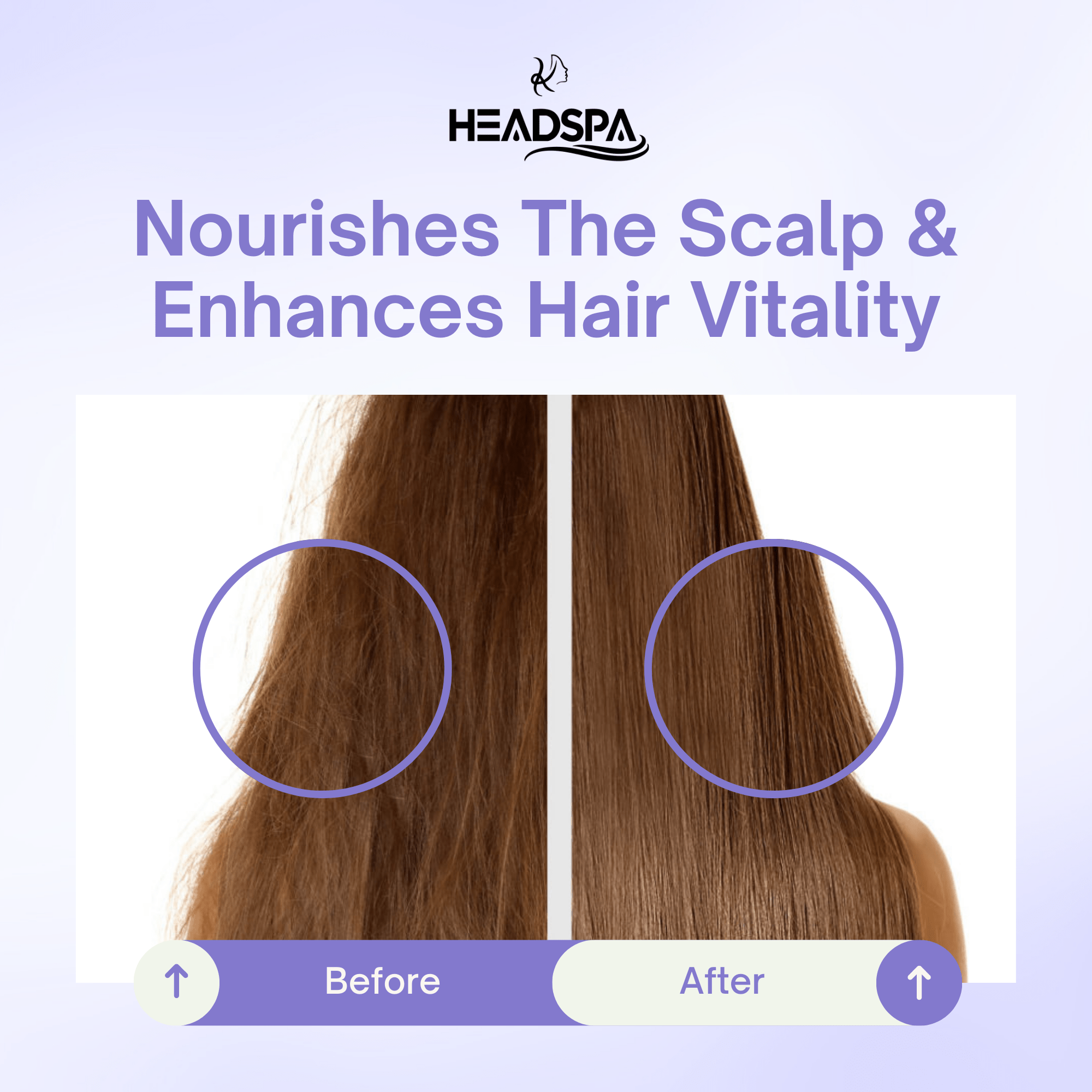 K-HeadSpa Korean Shower Head Therapy Kit – Lavender Essence