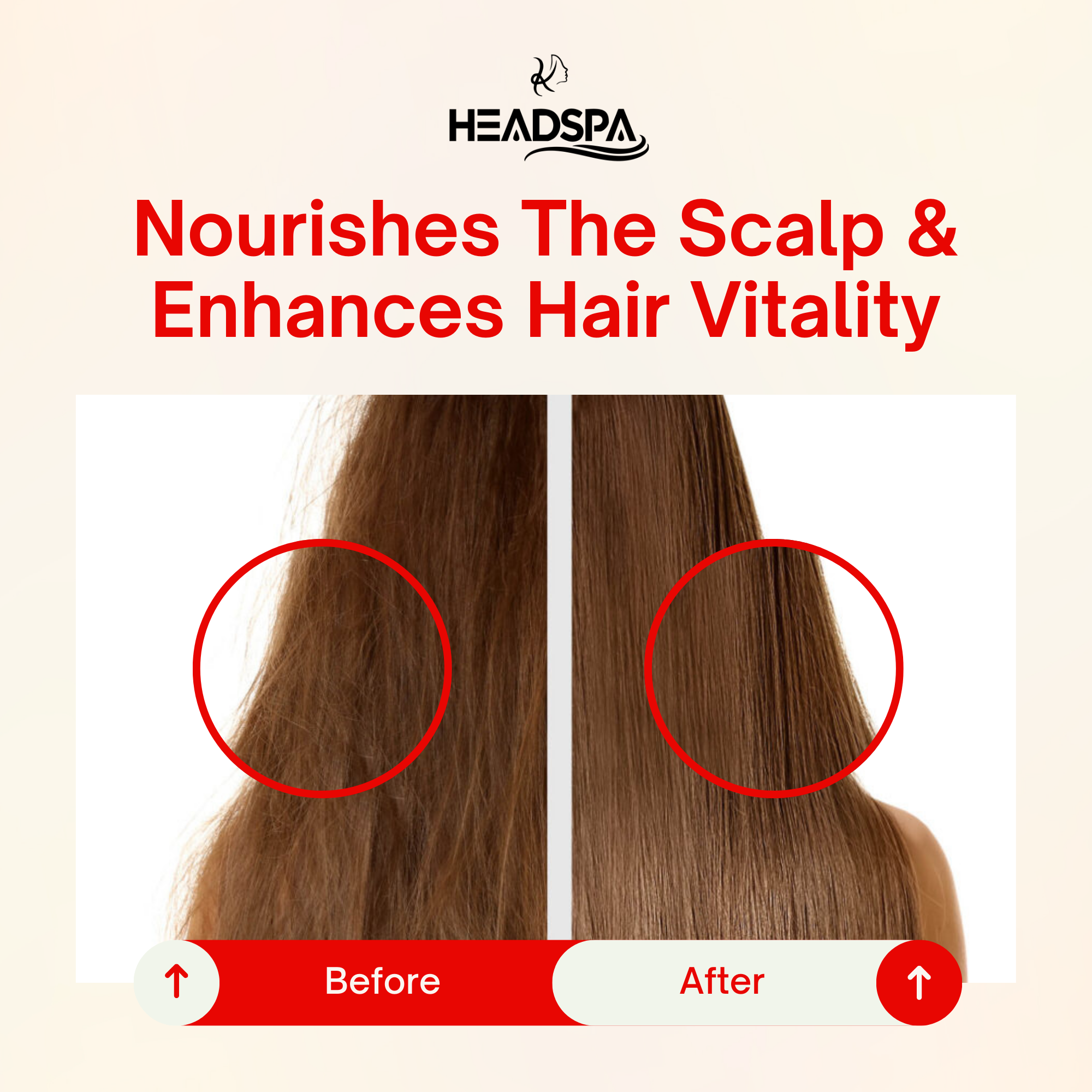 K-HeadSpa Korean Shower Head Therapy Kit – Rose Essence