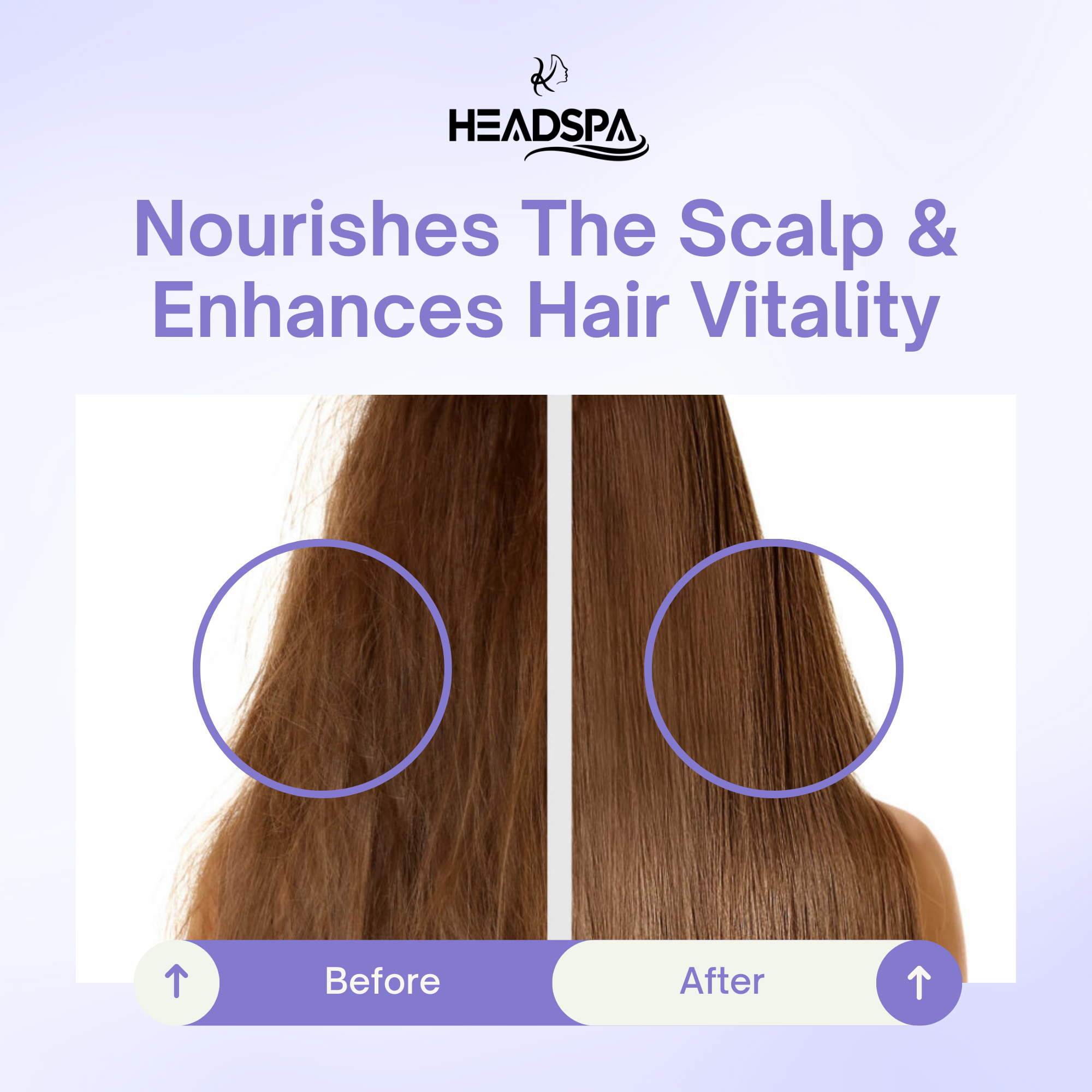 K-HeadSpa Water Filtration Shower System with Massage Head, Activated Carbon Filter, Vitamin Gel & Holder – Lavender