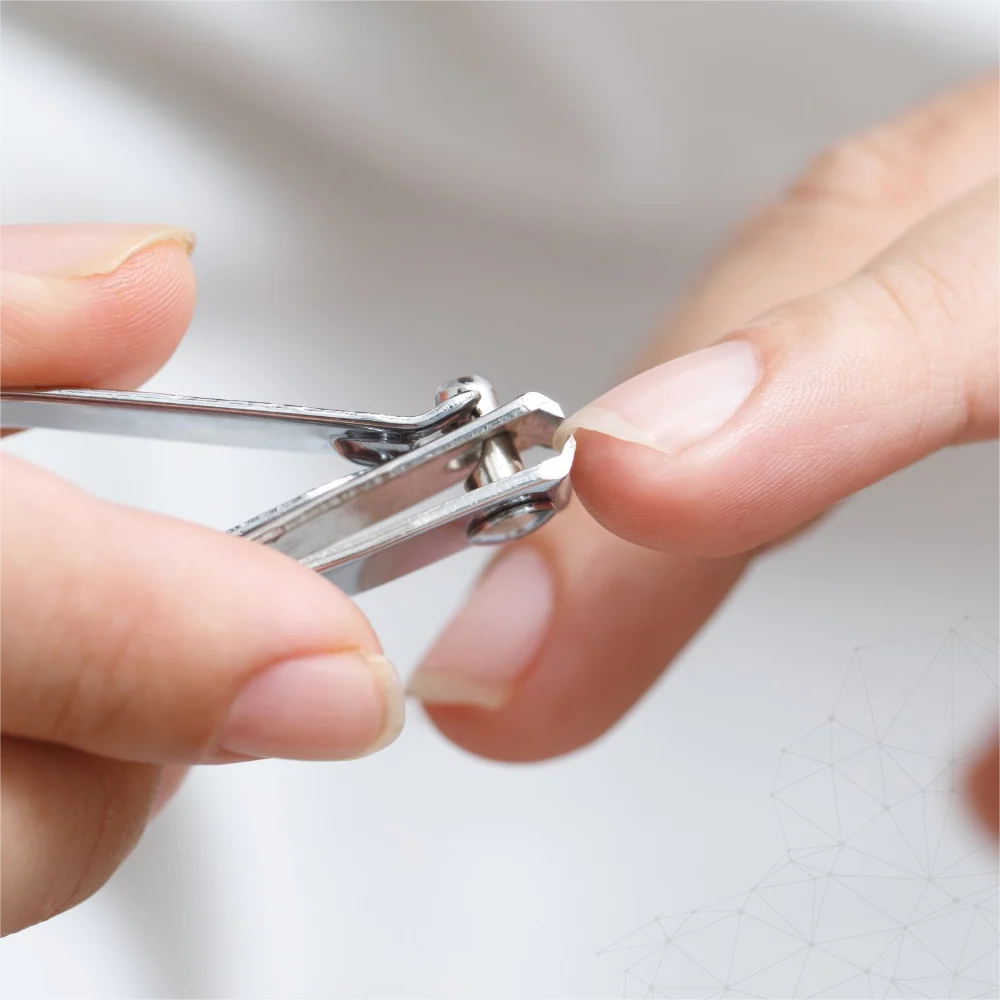 Nano Pro Cuti Clip Curve – 81 mm | Curved Blade Stainless Steel Nail Clipper