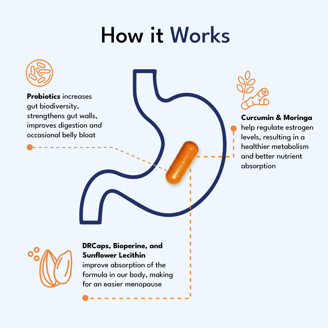 Original Provitalize | Natural Menopause Probiotics for Weight Gain, Hot Flashes, Night Sweats, Low Energy, Mood Swings, Gut Health. Unique Probiotics Formula